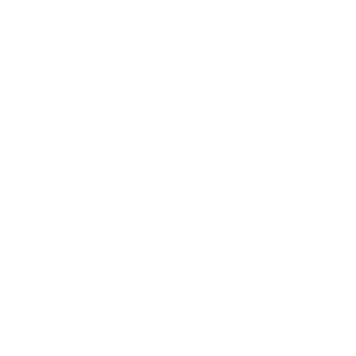 Logo of Ritz Carlton