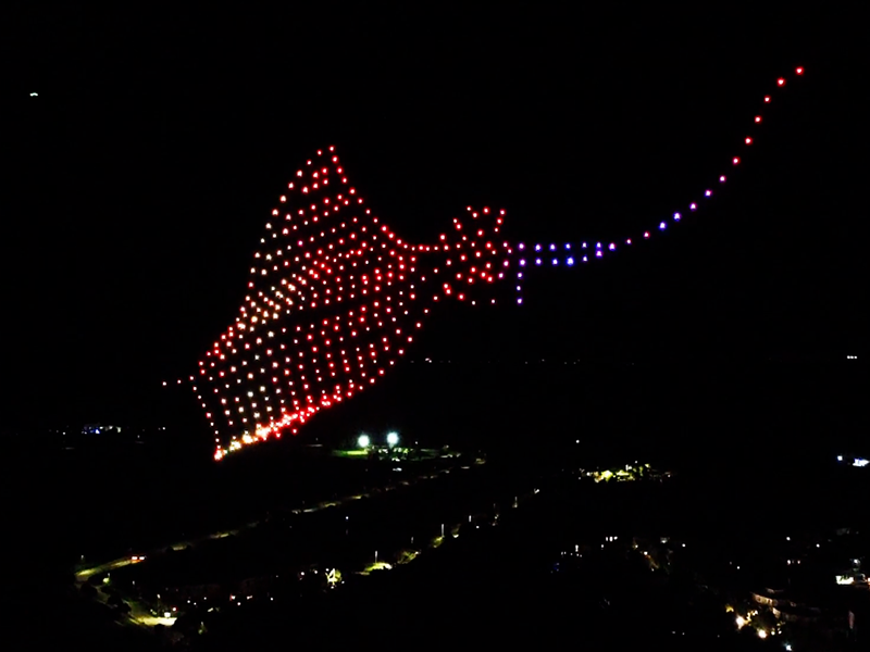 Picture of a sea ray in a drone light show at the Ritz Carlton Grand Cayman
