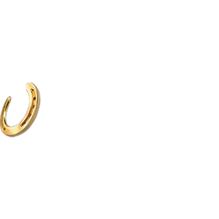 The logo for Horseshoe Lake Charles casino